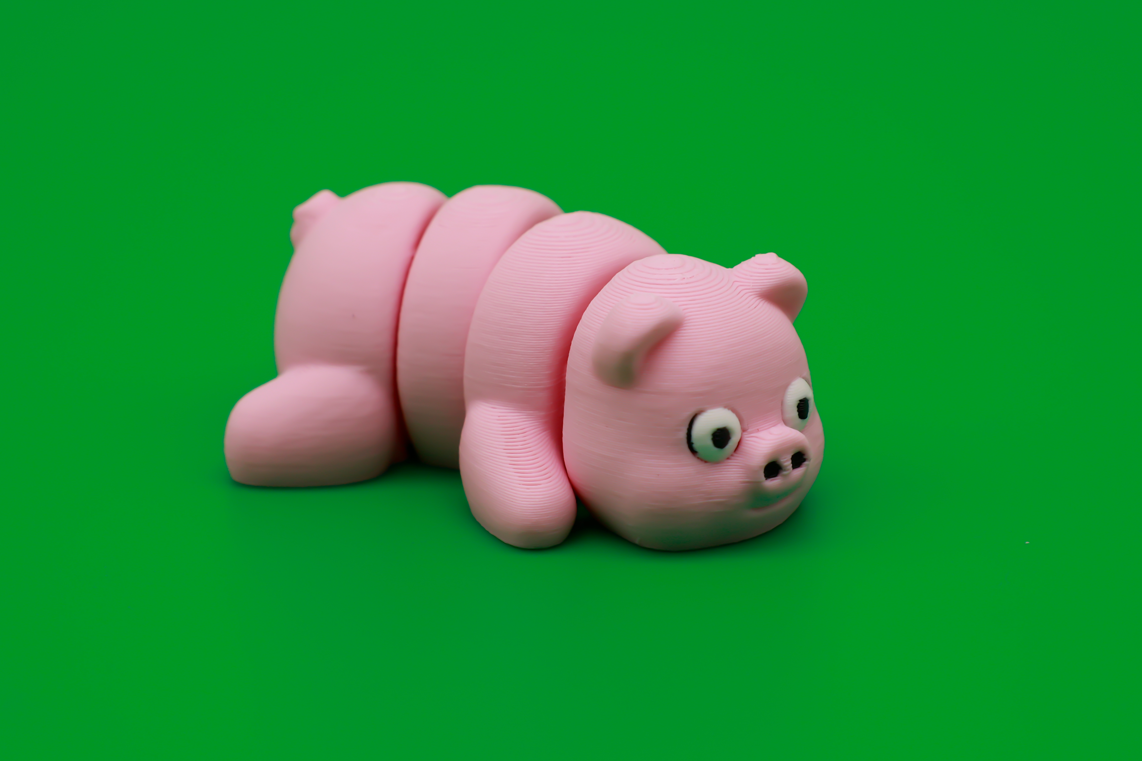 Pig